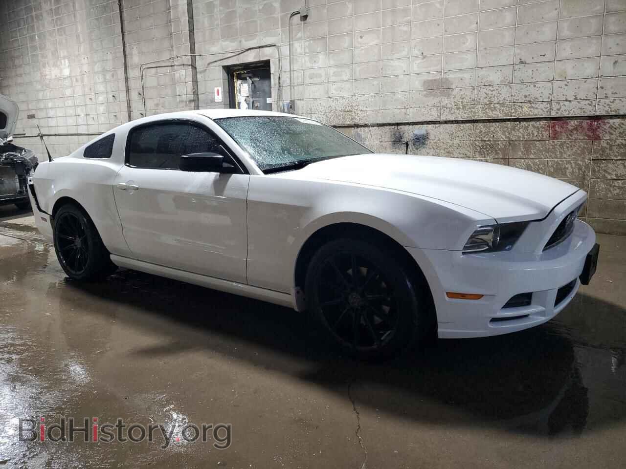 2014 FORD ALL Models - VIN: 1ZVBP8AM8E5216786 - Фото 4