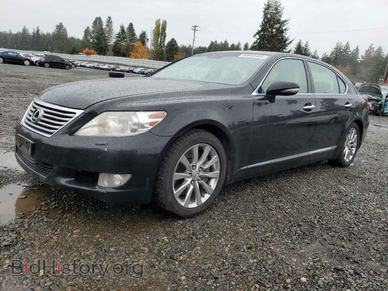 Фотография JTHDL5EF8A5002181 - LEXUS LS460 2010
