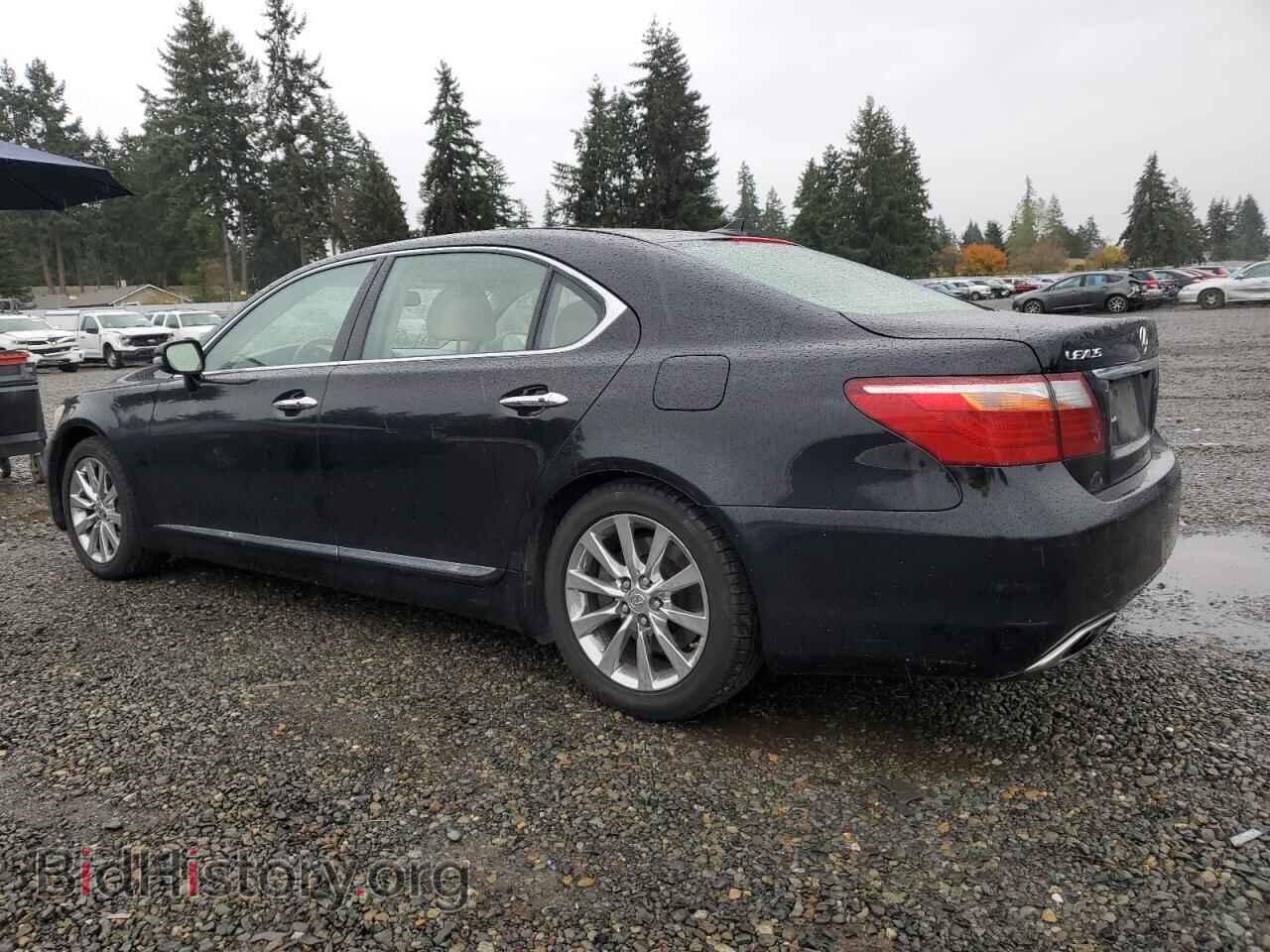 2010 LEXUS LS460 - VIN: JTHDL5EF8A5002181 - Фото 2
