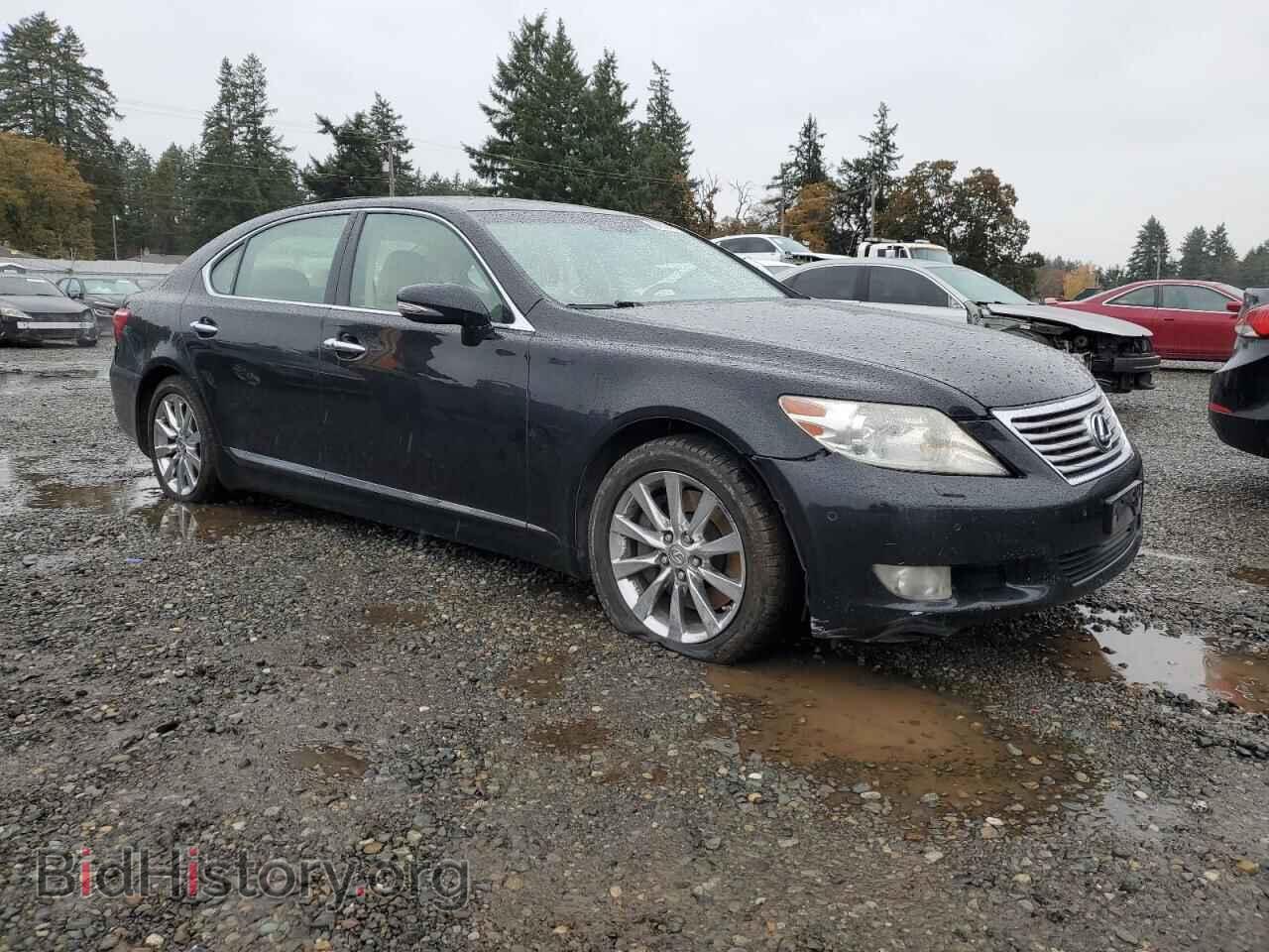 2010 LEXUS LS460 - VIN: JTHDL5EF8A5002181 - Фото 4