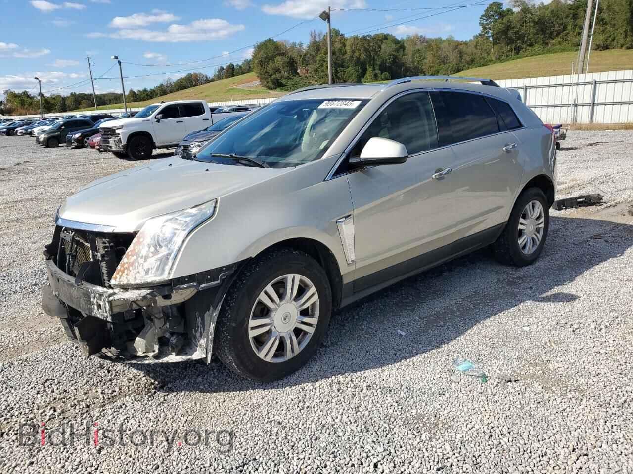 Фотография 3GYFNCE34DS539620 - CADILLAC SRX 2013