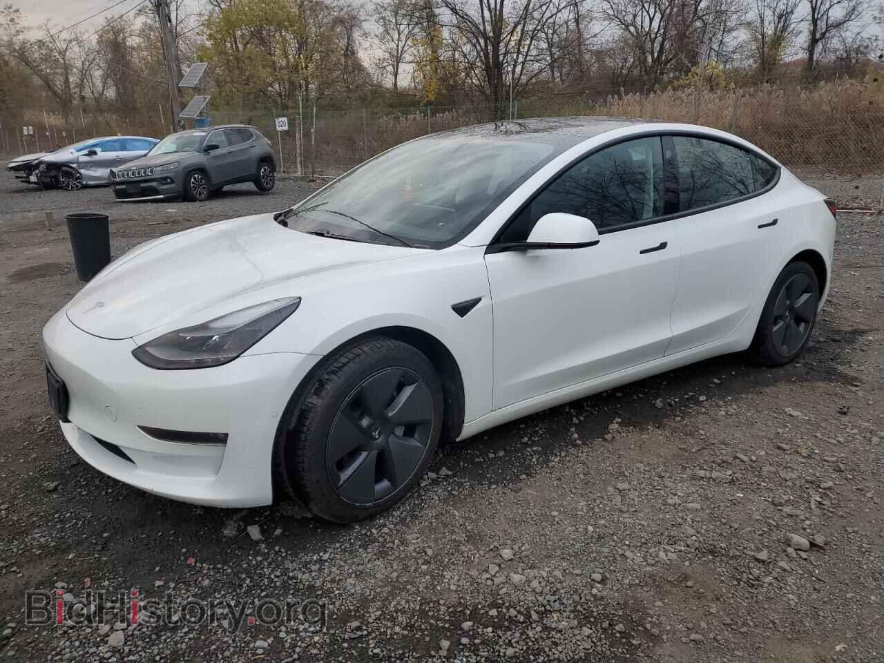 Photo 5YJ3E1EB6MF974801 - TESLA MODEL 3 2021
