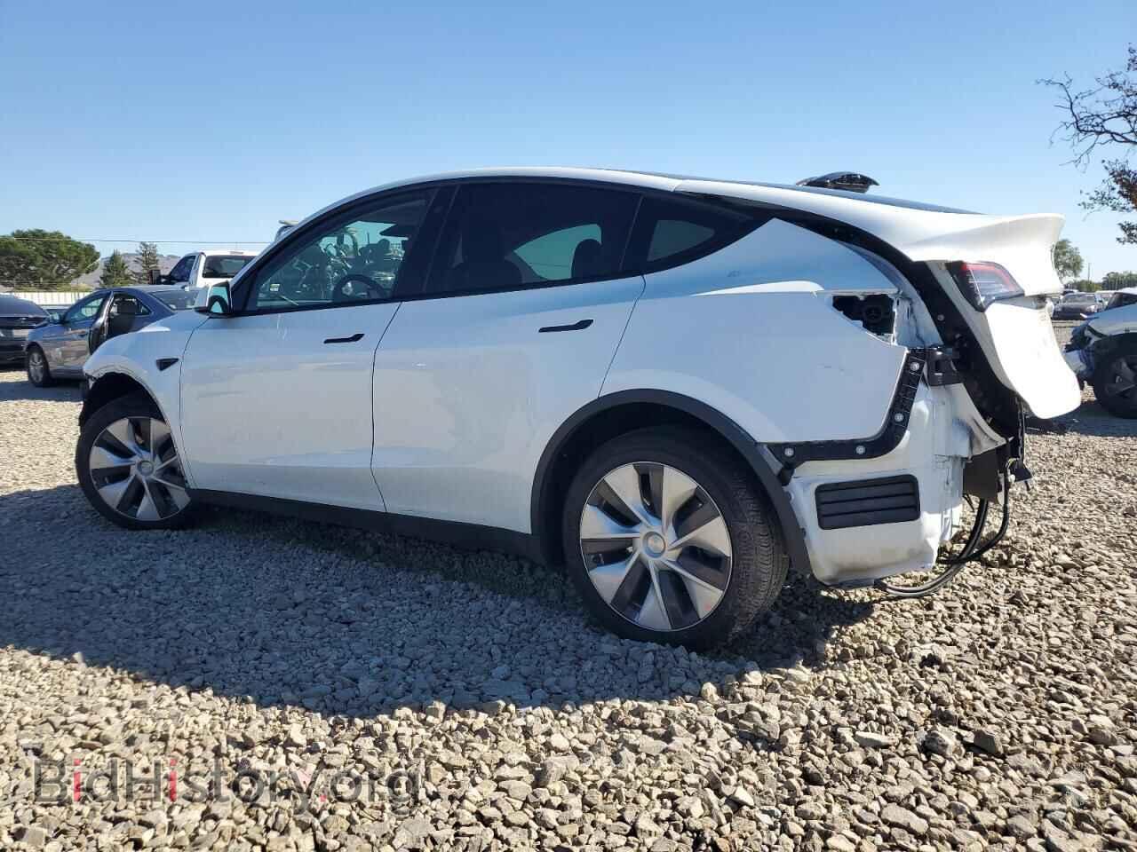 2023 TESLA MODEL Y - VIN: 7SAYGDEEXPF660359 - Фото 2