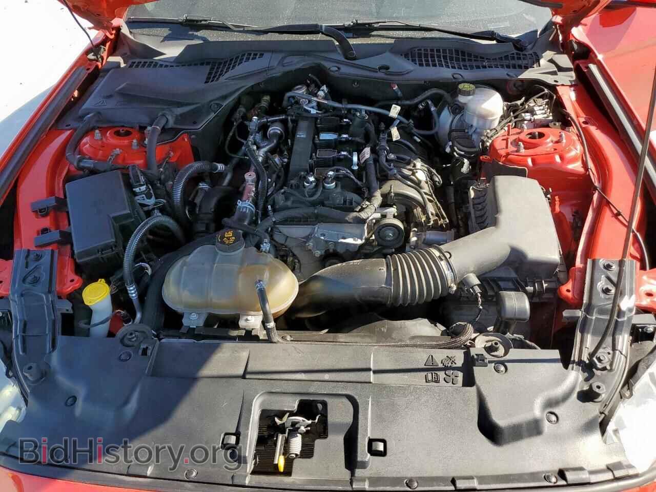 2019 FORD ALL Models - VIN: 1FA6P8TH6K5160871 - Фото 11