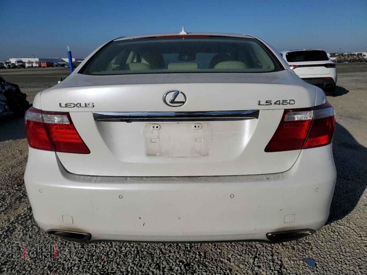 2007 LEXUS LS460 - VIN: JTHBL46F875024304 - Photo 6