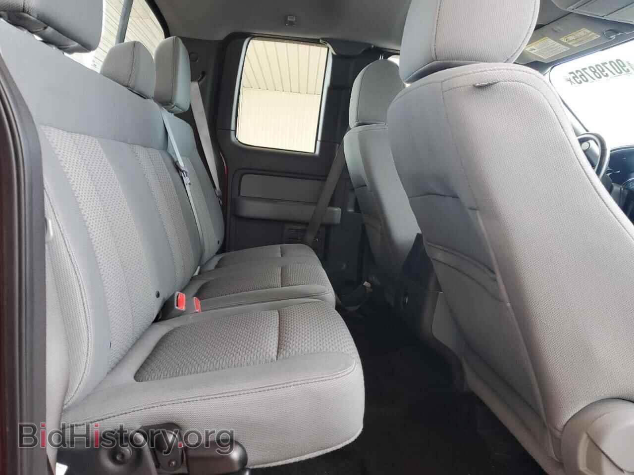 2013 FORD F-150 - VIN: 1FTFX1ET2DFB01218 - Фото 10