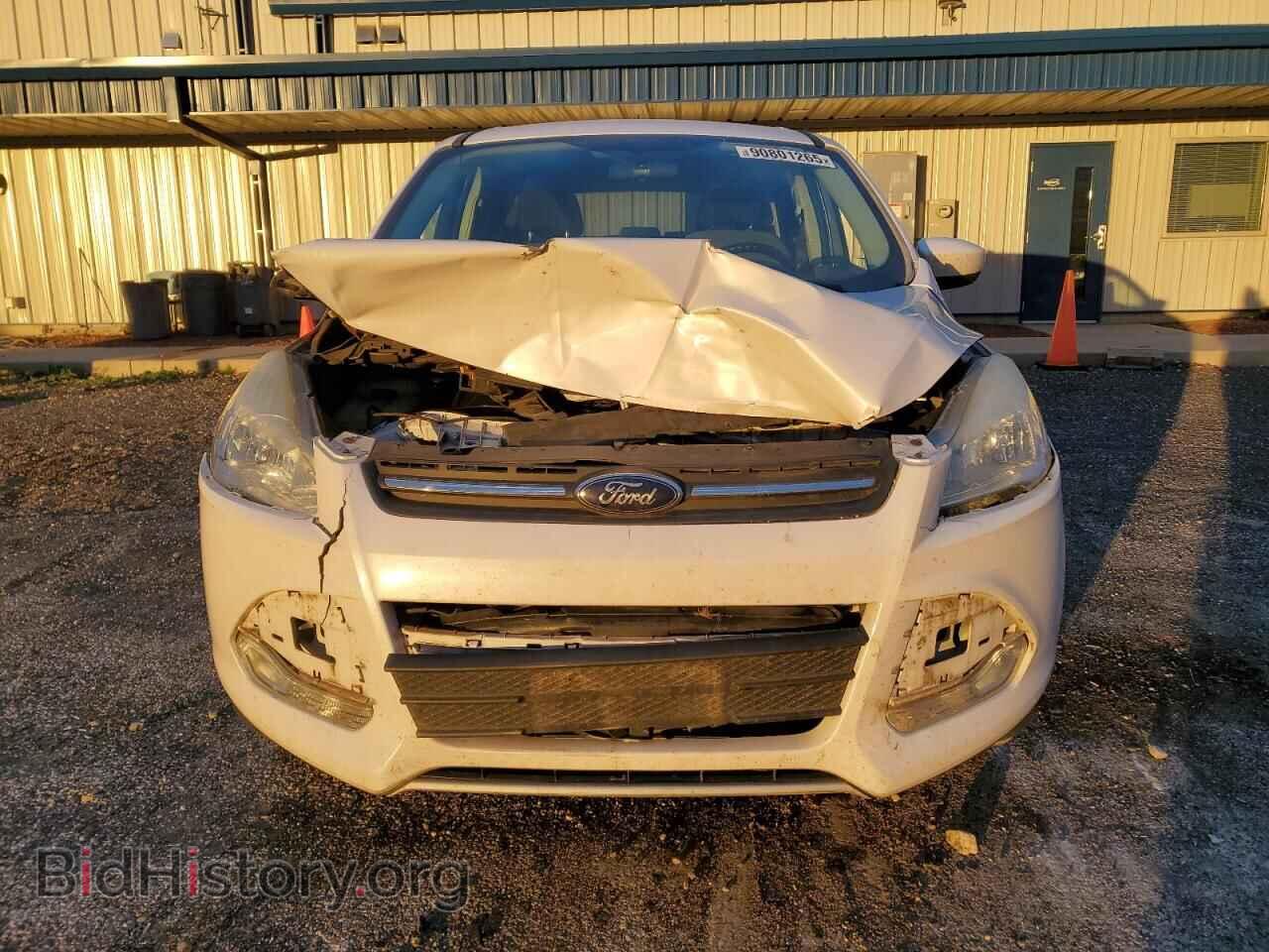 2014 FORD ESCAPE - VIN: 1FMCU9GX3EUB75248 - Фото 5