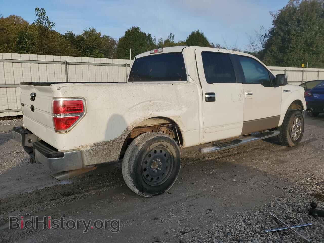 2010 FORD F-150 - VIN: 1FTEW1C82AFB14964 - Фото 3
