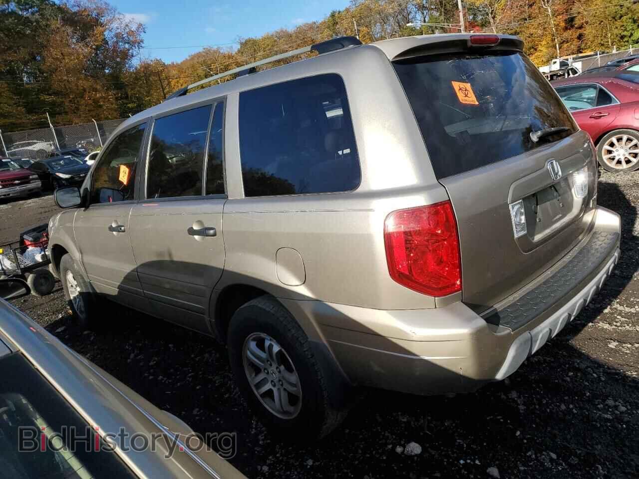 2005 HONDA PILOT - VIN: 5FNYF18555B023113 - Фото 2