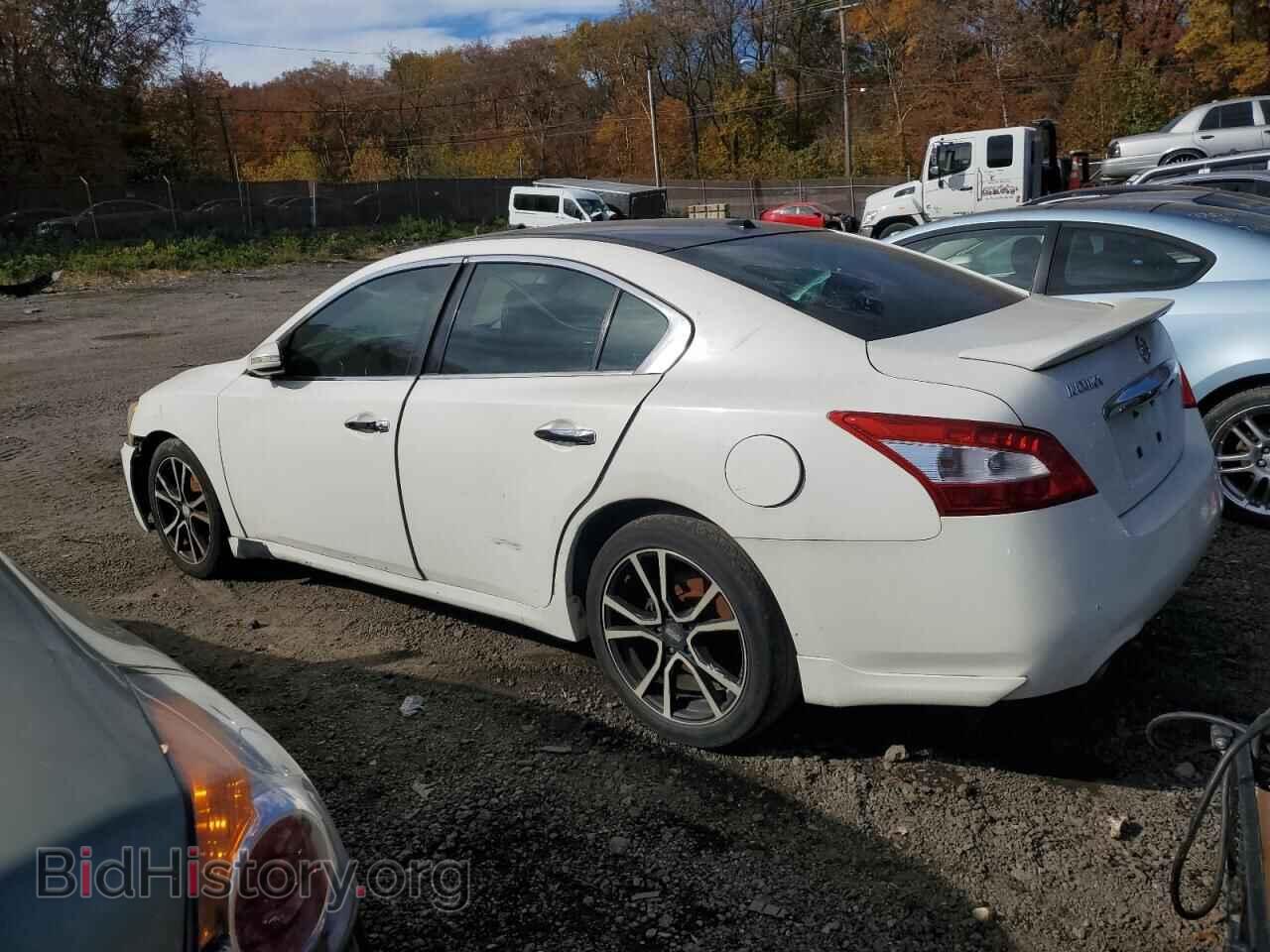 2009 NISSAN MAXIMA - VIN: 1N4AA51E79C834888 - Фото 2