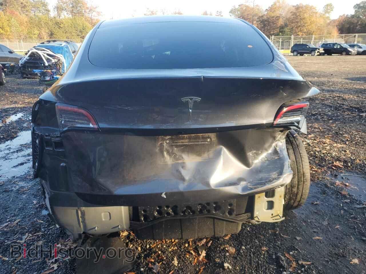 2024 TESLA MODEL Y - VIN: 7SAYGDEE1RA218828 - Фото 6