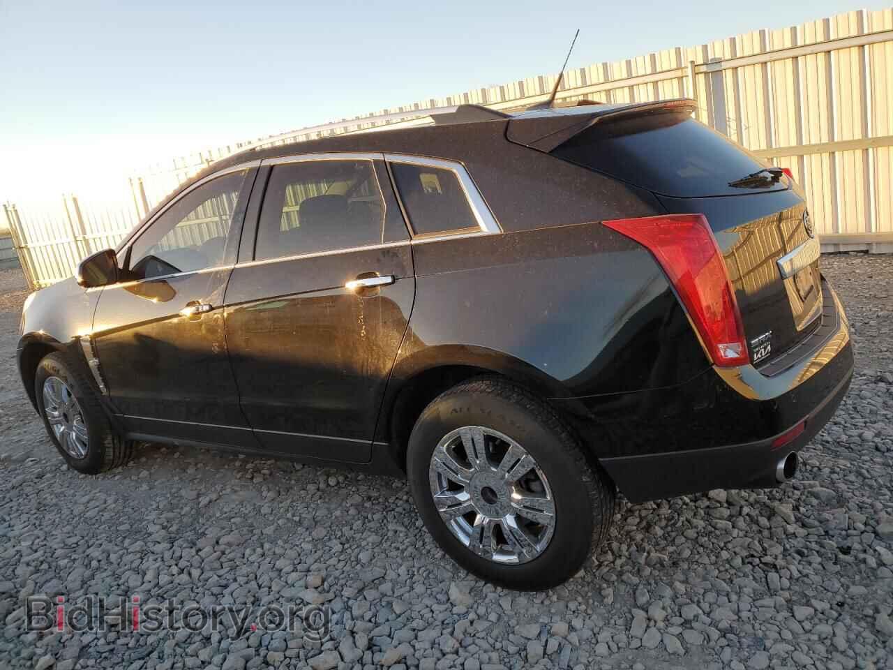 2012 CADILLAC SRX - VIN: 3GYFNAE30CS584802 - Фото 2