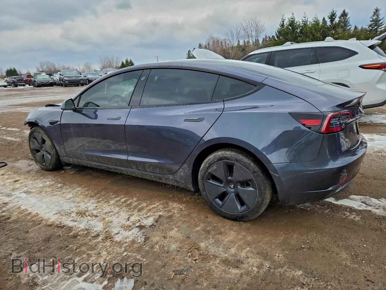 2023 TESLA MODEL 3 - VIN: LRW3E1FA6PC921164 - Фото 2