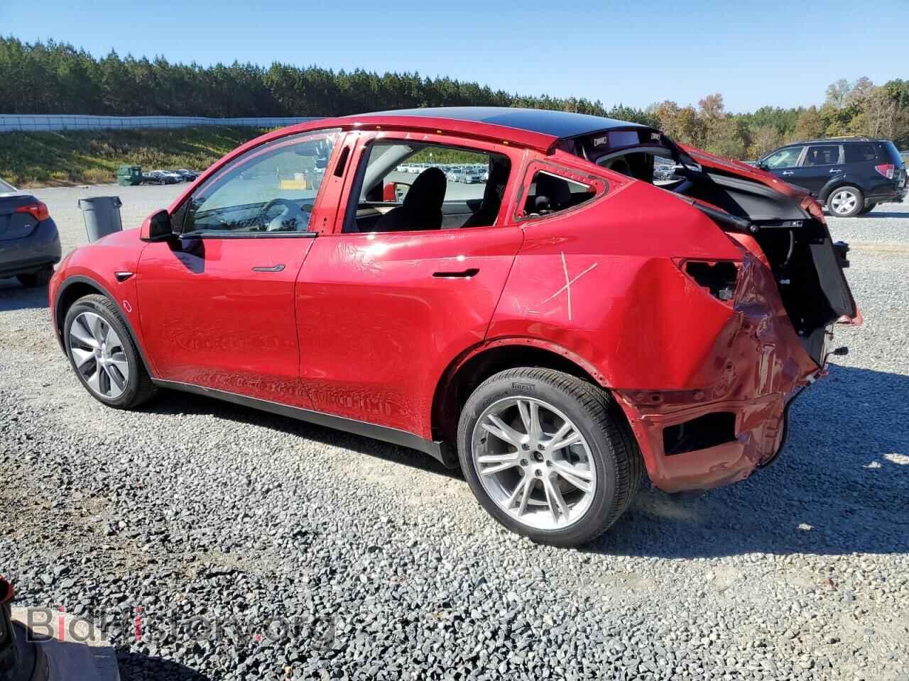 2024 TESLA MODEL Y - VIN: 7SAYGDEE5RA217617 - Фото 2