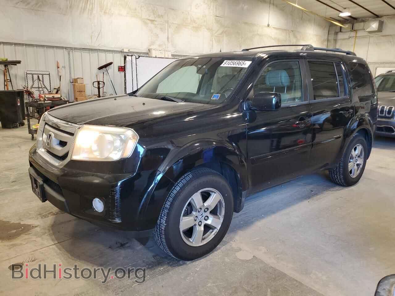 Фотография 5FNYF48569B045970 - HONDA PILOT 2009