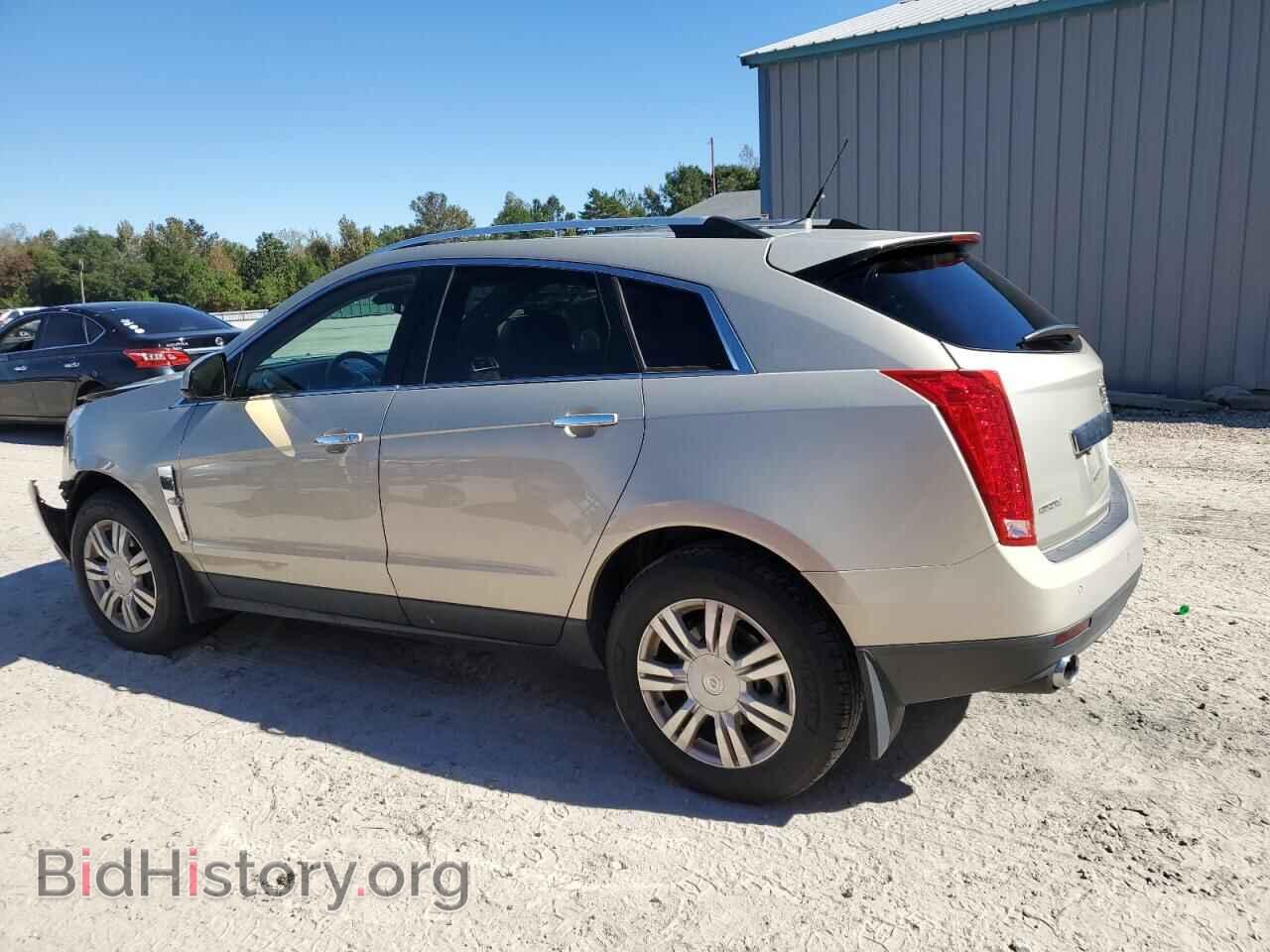 2011 CADILLAC SRX - VIN: 3GYFNAEY2BS598338 - Фото 2