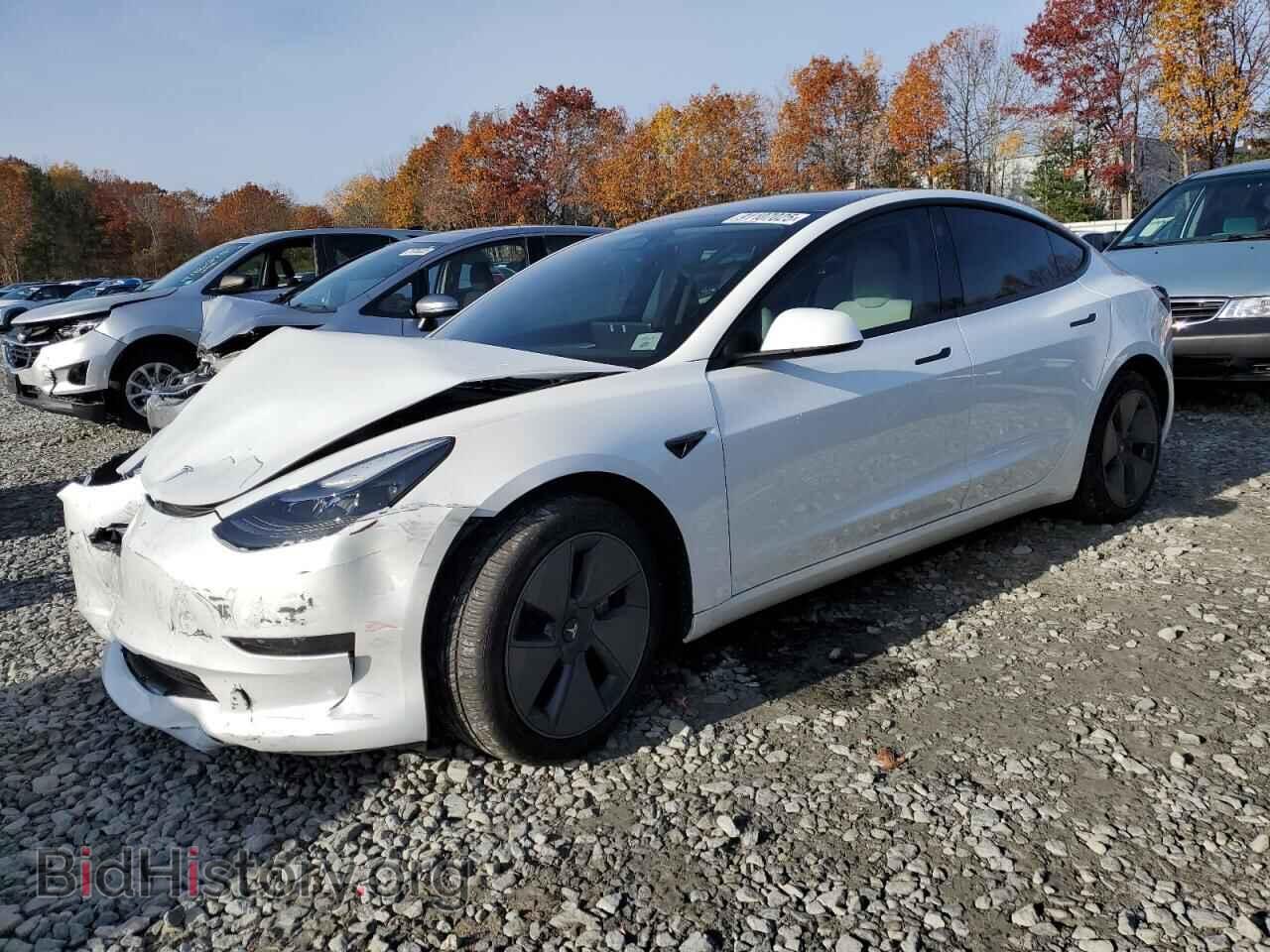 Photo 5YJ3E1EA2PF499174 - TESLA MODEL 3 2023