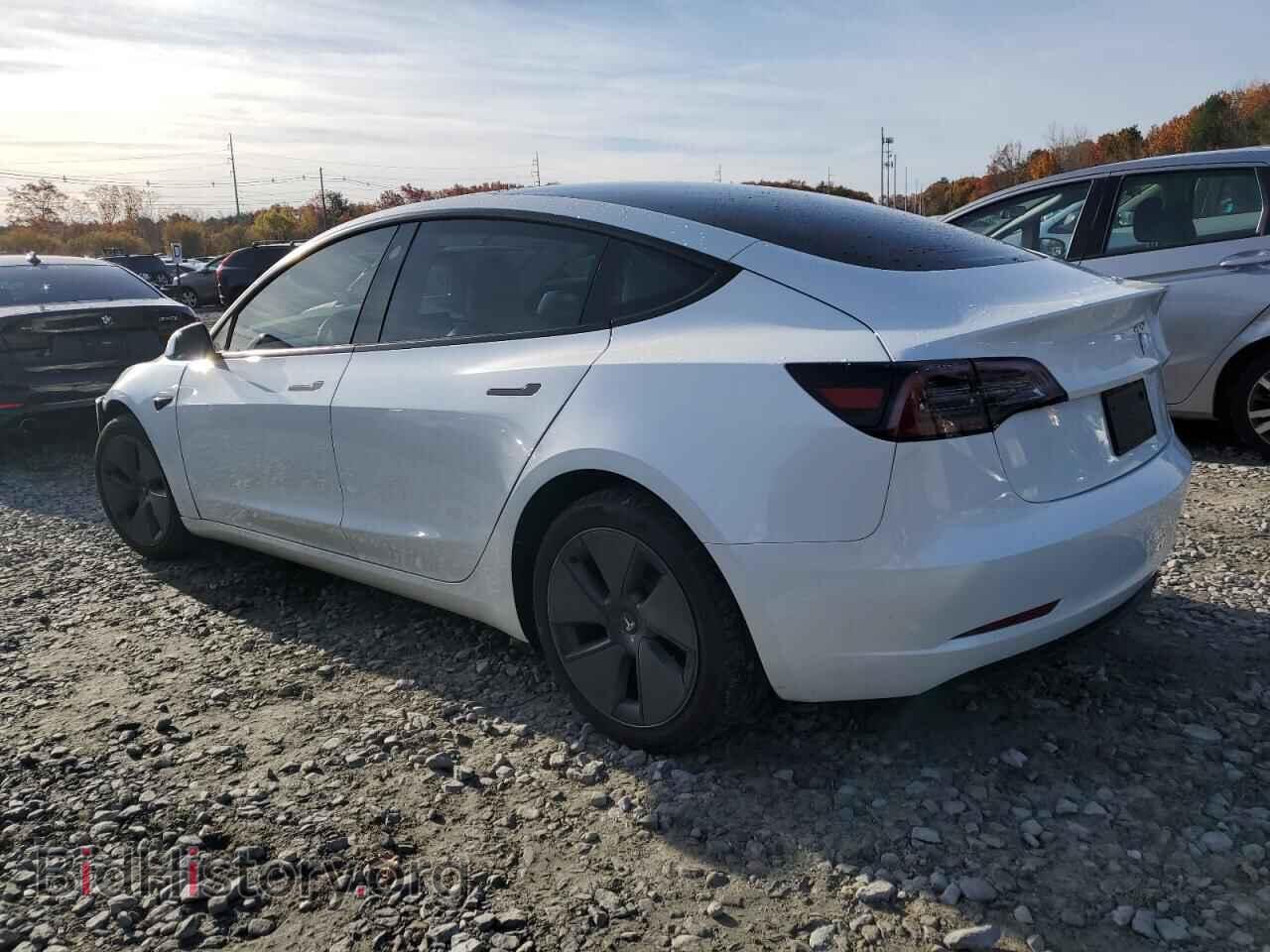 2023 TESLA MODEL 3 - VIN: 5YJ3E1EA2PF499174 - Photo 2