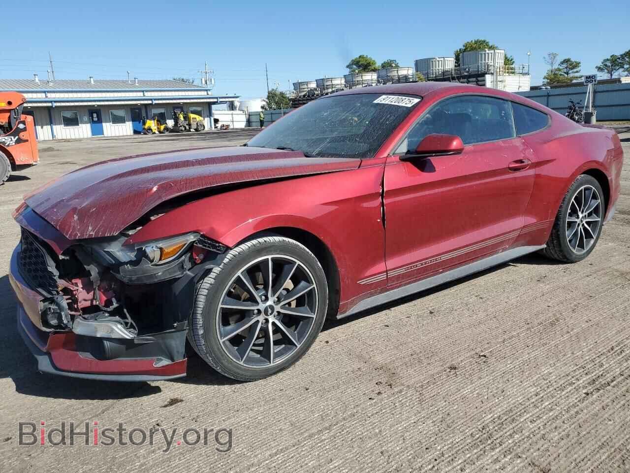 Фотография 1FA6P8TH4F5342445 - FORD ALL Models 2015