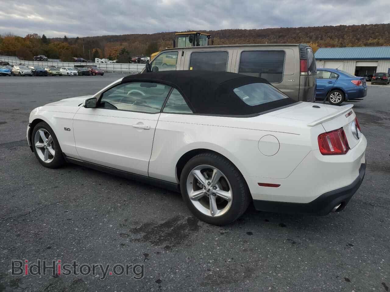 2011 FORD MUSTANG - VIN: 1ZVBP8FF1B5127275 - Фото 2