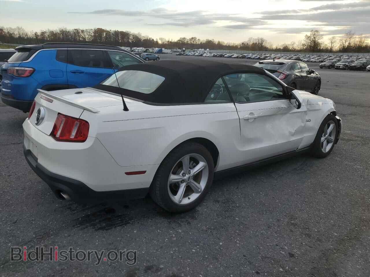2011 FORD MUSTANG - VIN: 1ZVBP8FF1B5127275 - Фото 3