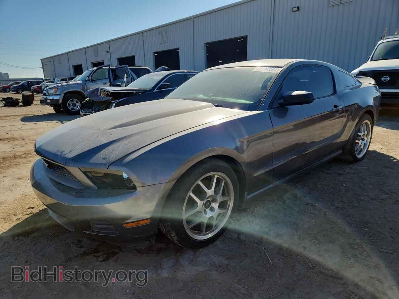 Фотография 1ZVBP8AM5B5140567 - FORD ALL Models 2011