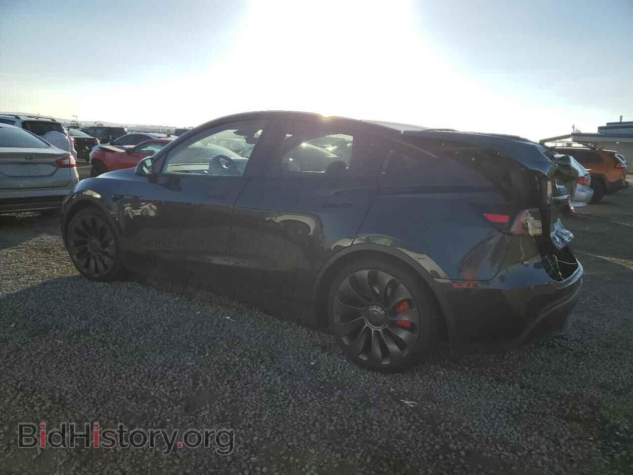 2024 TESLA MODEL Y - VIN: 7SAYGDEF1RF049146 - Фото 2