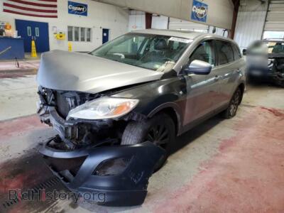 2010 Mazda CX-9, серый — VIN JM3TB3MV6A0206172, Copart