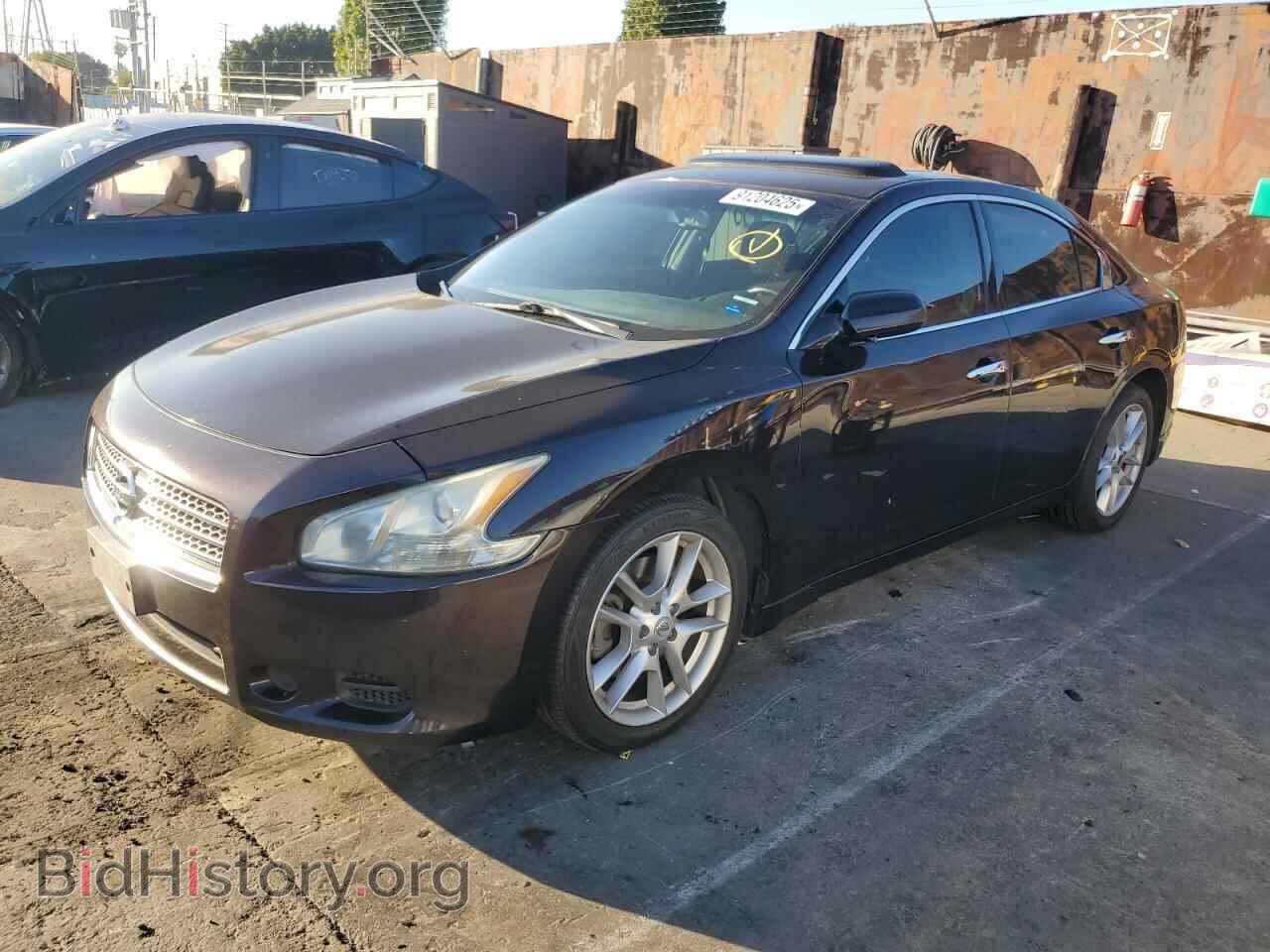 Фотография 1N4AA5AP7BC838544 - NISSAN MAXIMA 2011