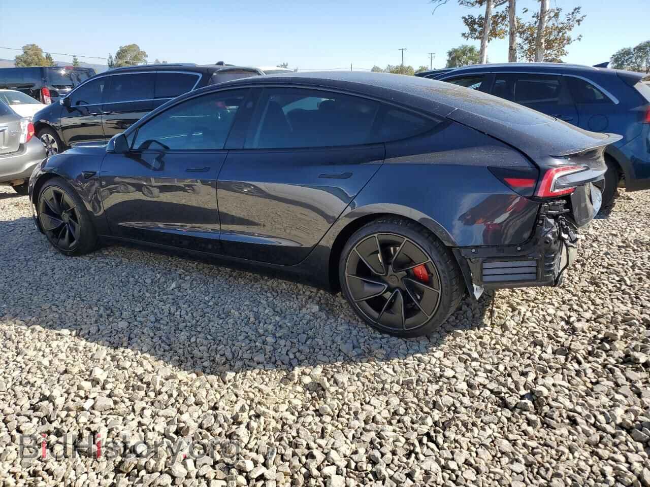 2024 TESLA MODEL 3 - VIN: 5YJ3E1ET6RF801232 - Photo 2