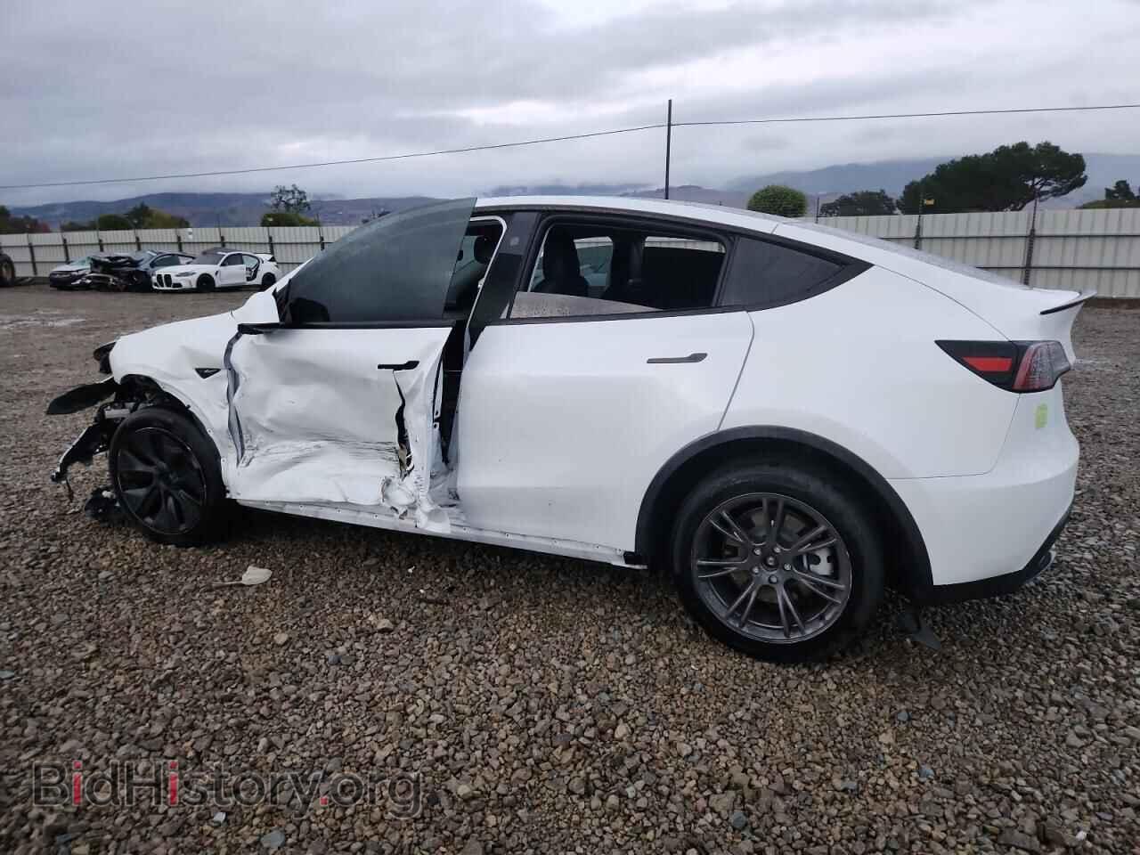 2024 TESLA MODEL Y - VIN: 7SAYGDEE4RF162046 - Фото 2