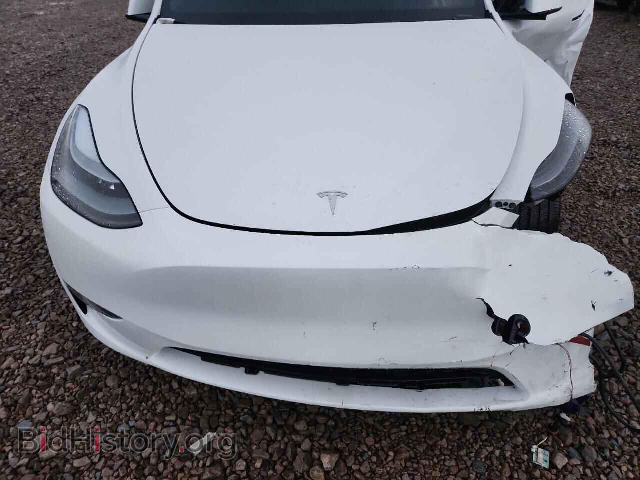 2024 TESLA MODEL Y - VIN: 7SAYGDEE4RF162046 - Фото 11