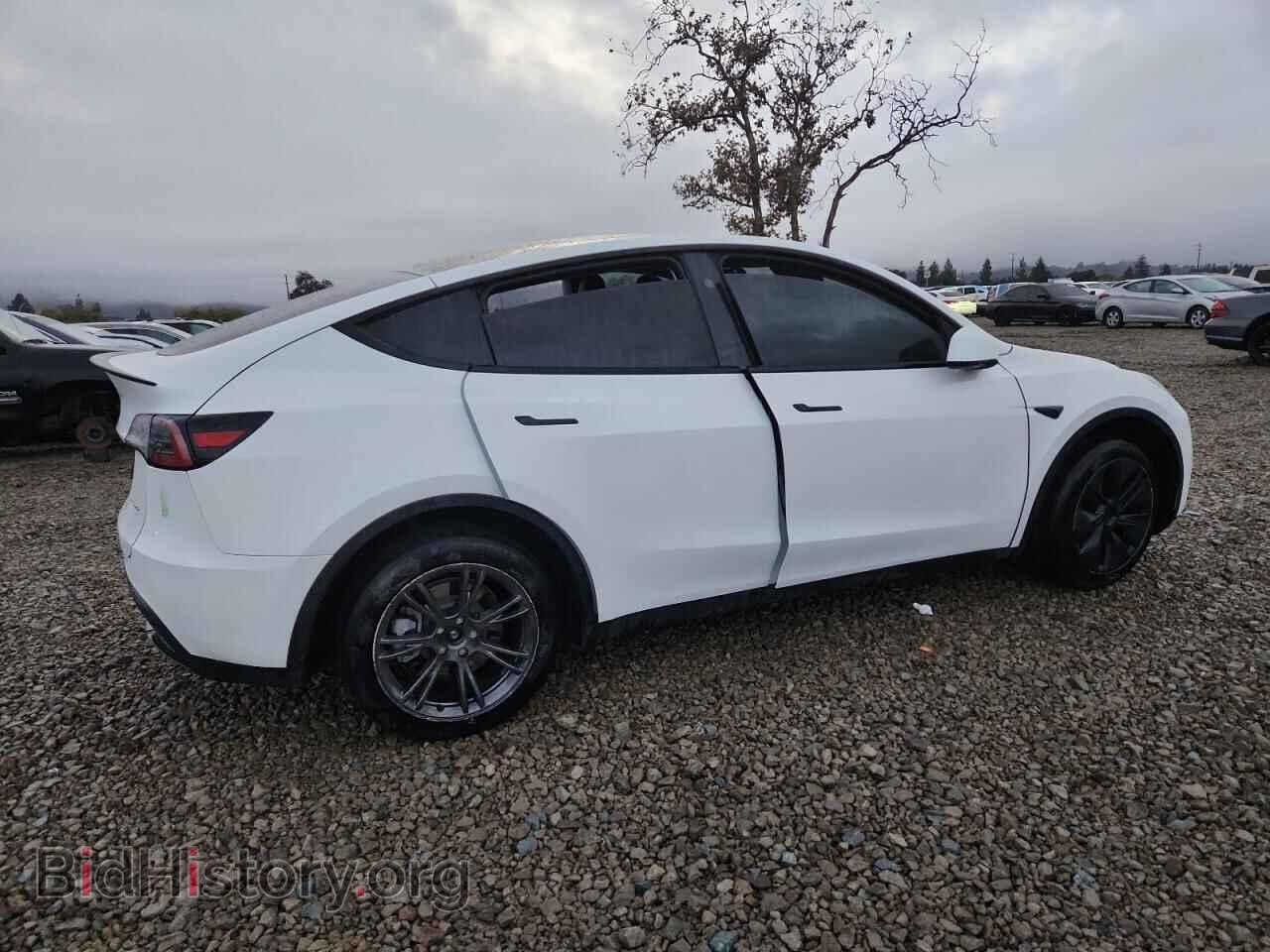 2024 TESLA MODEL Y - VIN: 7SAYGDEE4RF162046 - Фото 3