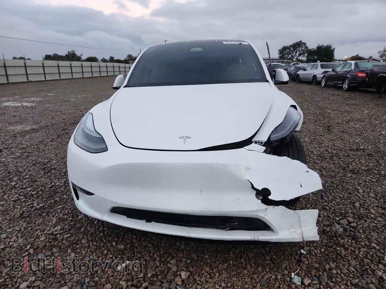 2024 TESLA MODEL Y - VIN: 7SAYGDEE4RF162046 - Фото 5