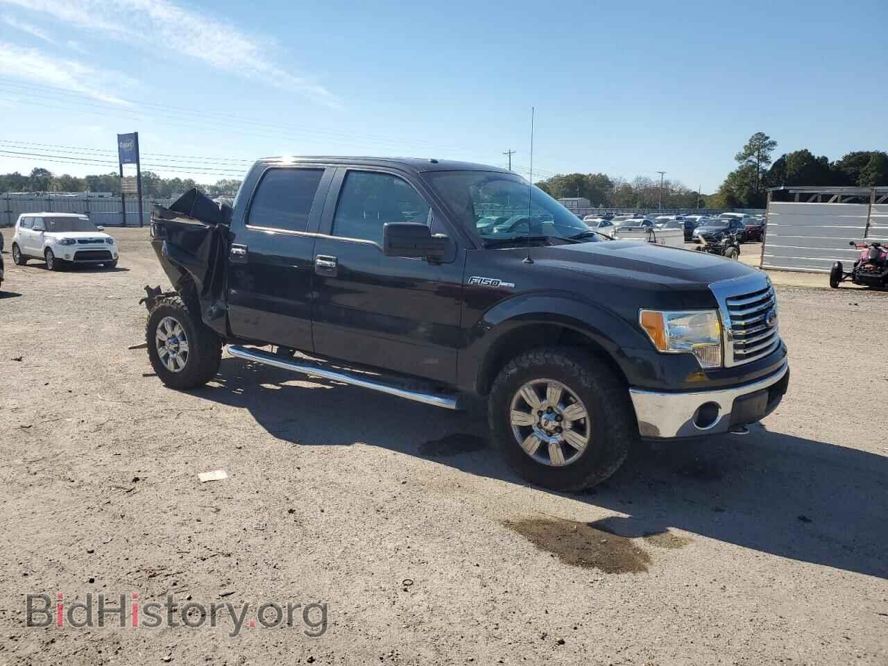 2010 FORD F-150 - VIN: 1FTFW1EV9AFD01352 - Фото 4