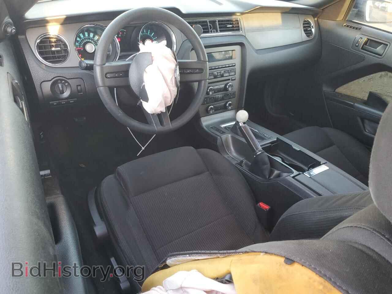 2012 FORD ALL Models - VIN: 1ZVBP8AM2C5232558 - Photo 8