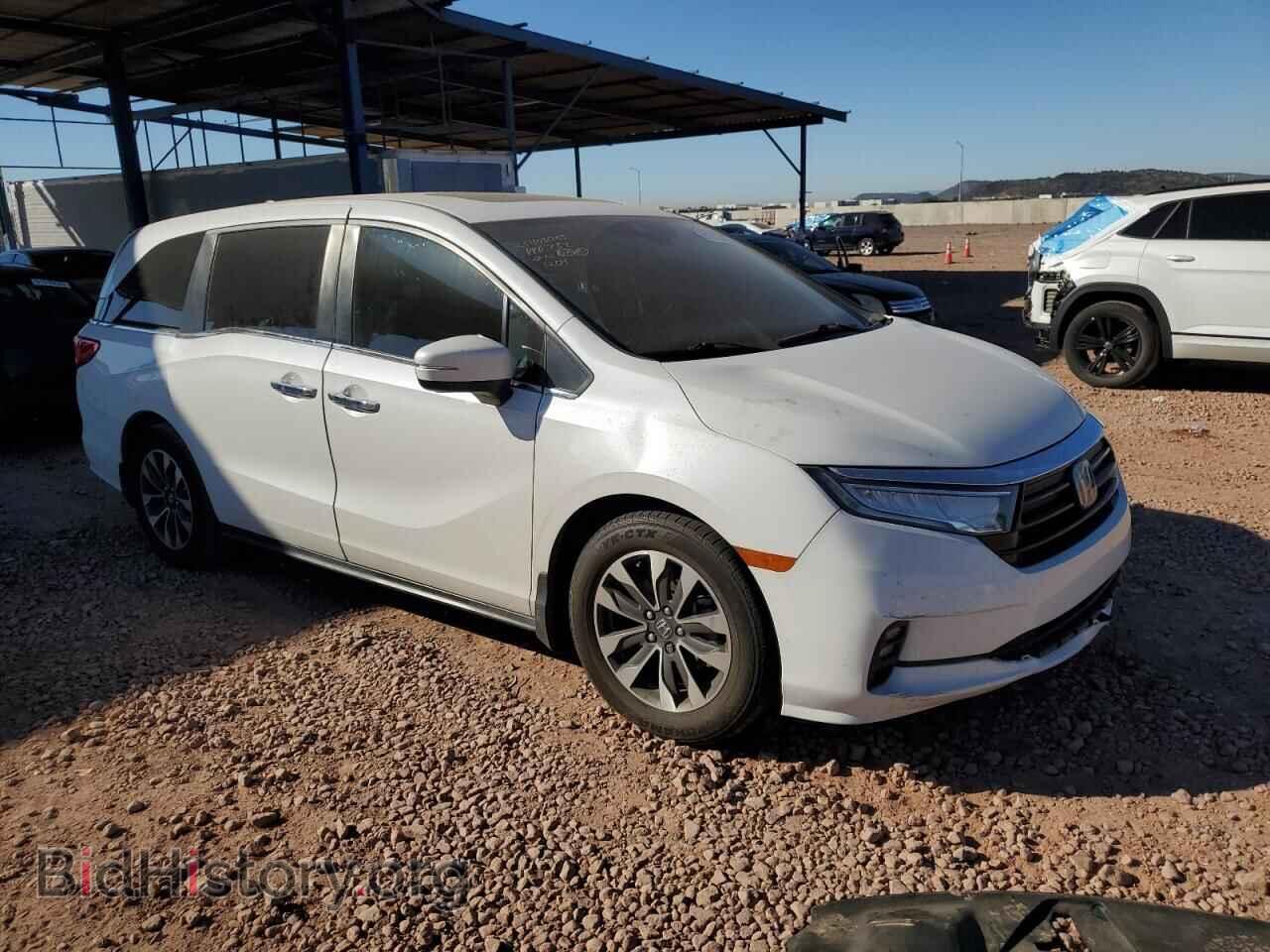 2023 HONDA All Models - VIN: 5FNRL6H67PB031204 - Фото 4