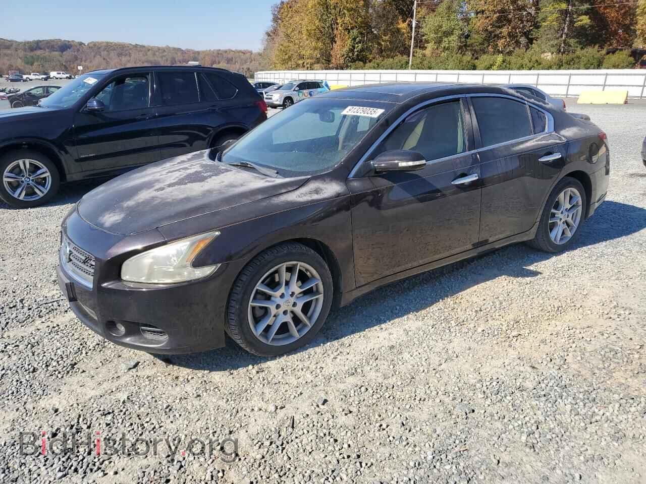Фотография 1N4AA5AP4BC856256 - NISSAN MAXIMA 2011