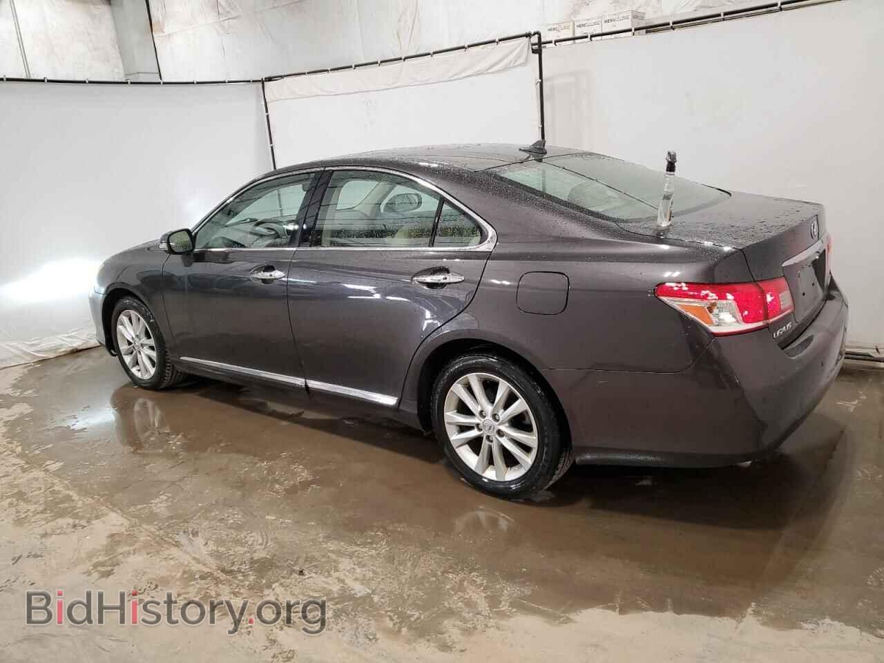 2010 LEXUS ES350 - VIN: JTHBK1EG8A2373094 - Фото 2