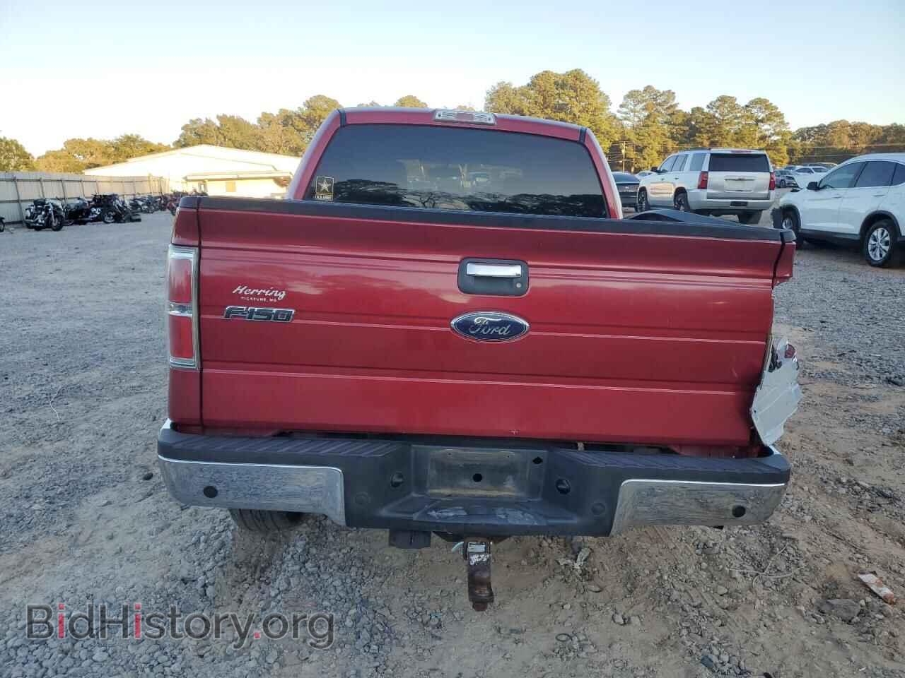 2010 FORD F-150 - VIN: 1FTEW1C85AFA64626 - Фото 6