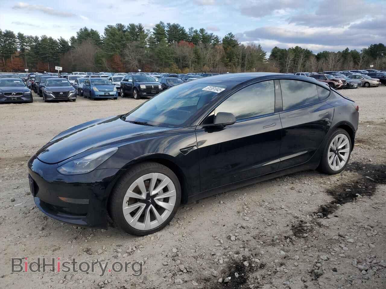 Photo 5YJ3E1EA3PF451263 - TESLA MODEL 3 2023