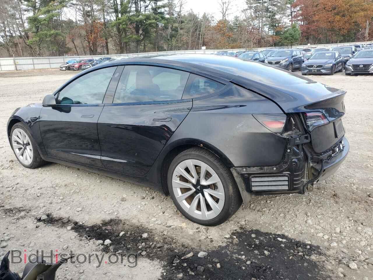 2023 TESLA MODEL 3 - VIN: 5YJ3E1EA3PF451263 - Photo 2