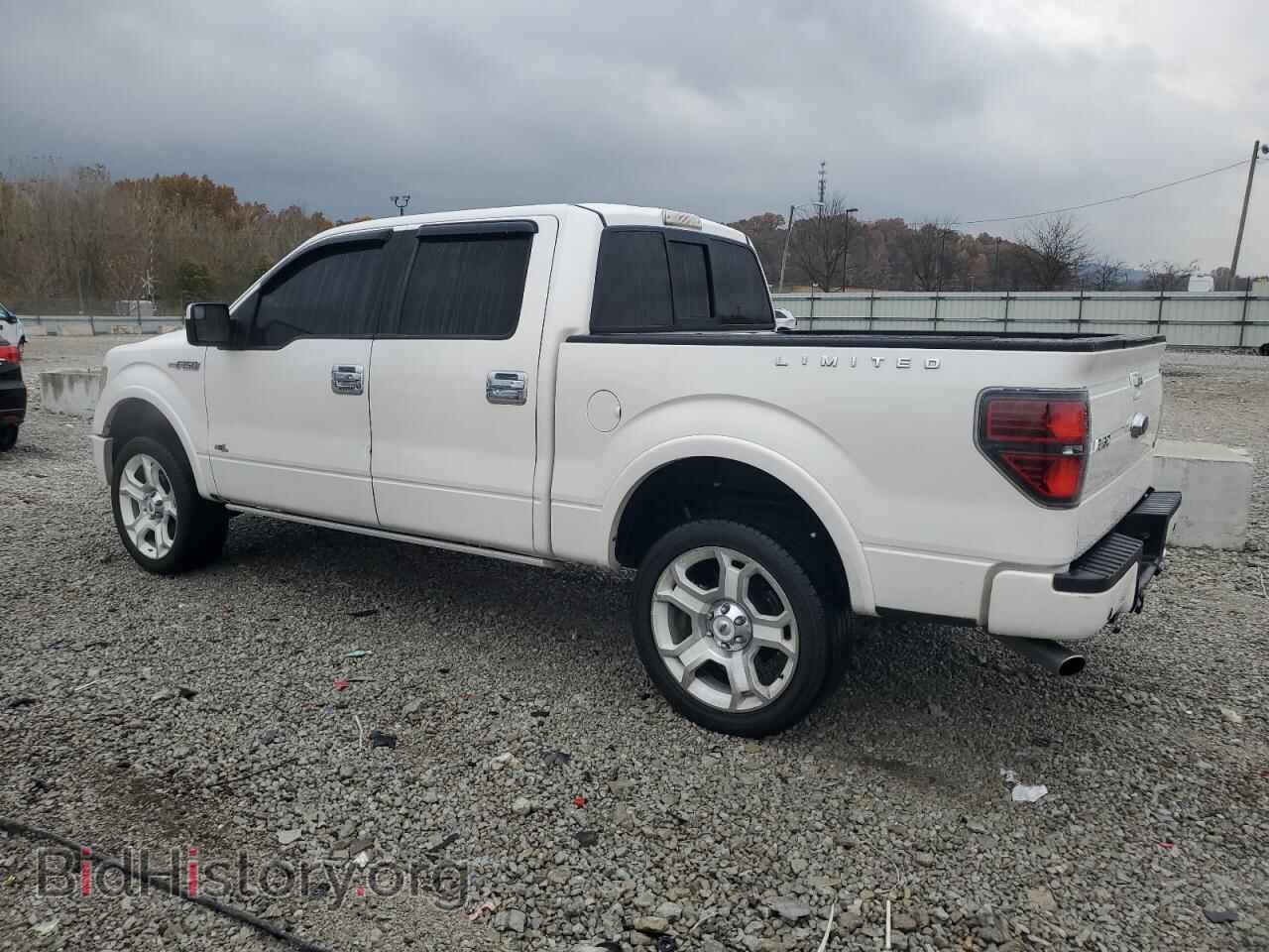 2011 FORD F-150 - VIN: 1FTFW1E68BFA89344 - Фото 2