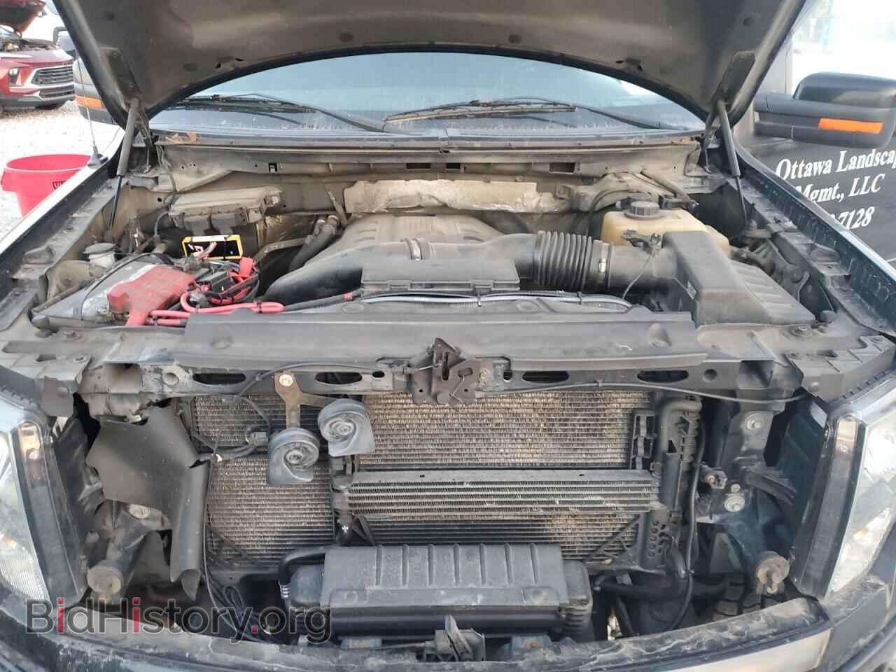 2013 FORD F-150 - VIN: 1FTFX1ET4DFB77832 - Фото 11