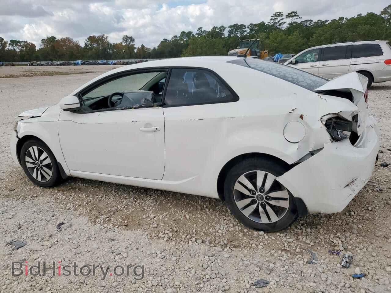 2013 KIA FORTE - VIN: KNAFU6A21D5649801 - Фото 2