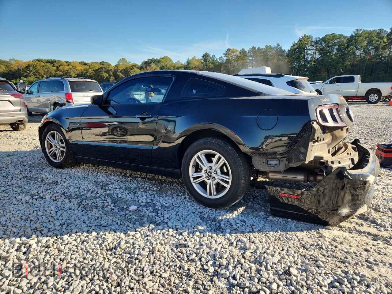 2014 FORD ALL Models - VIN: 1ZVBP8AM5E5314657 - Фото 2