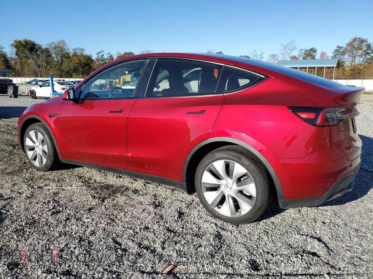 2024 TESLA MODEL Y - VIN: 7SAYGDEE6RA237018 - Фото 2