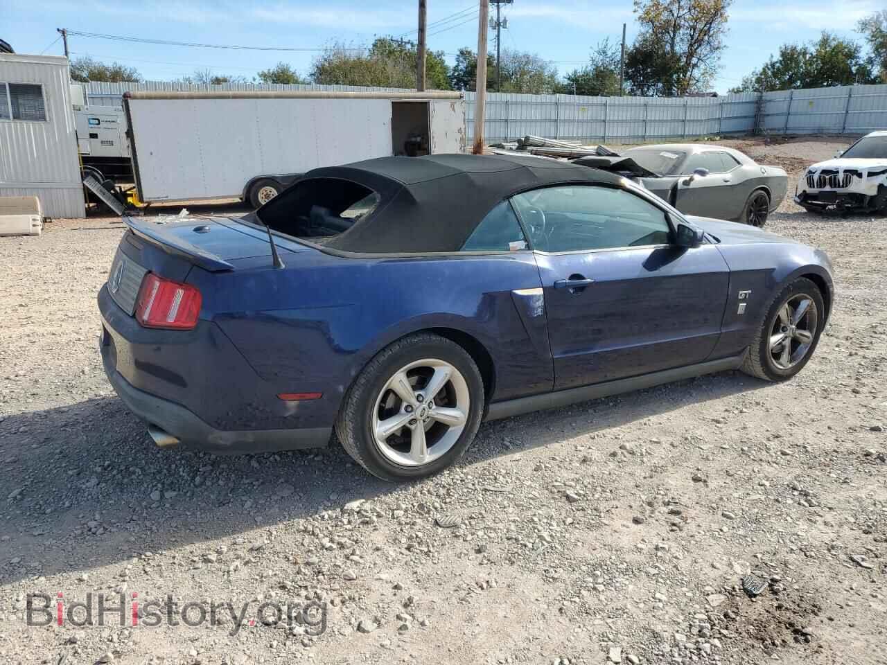 2010 FORD MUSTANG - VIN: 1ZVBP8FHXA5169072 - Фото 3