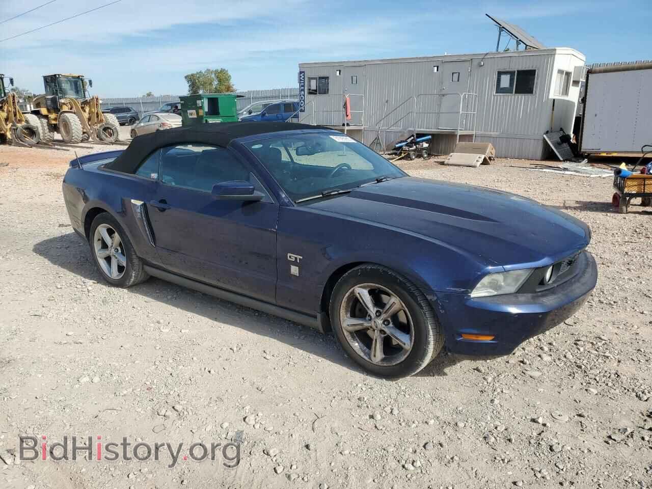 2010 FORD MUSTANG - VIN: 1ZVBP8FHXA5169072 - Фото 4