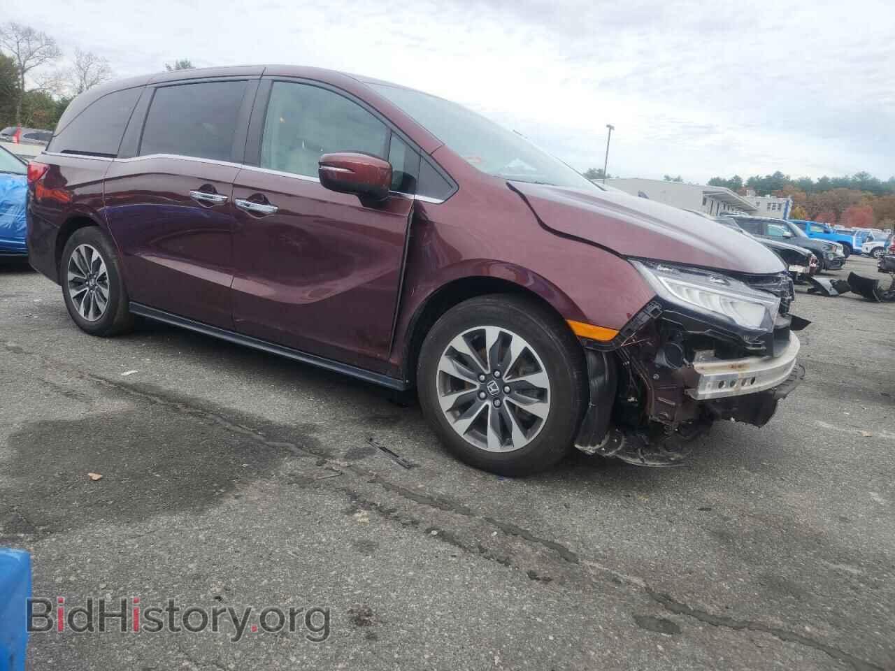 2021 HONDA All Models - VIN: 5FNRL6H76MB023860 - Фото 4